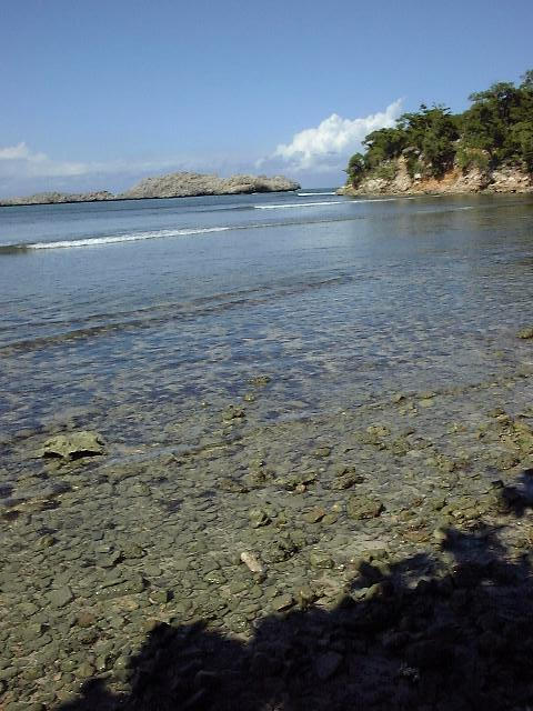Coral beach