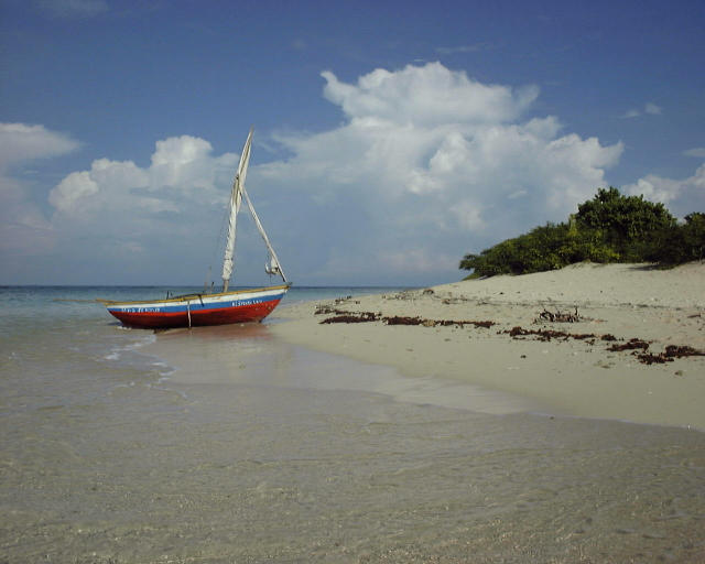 Island life