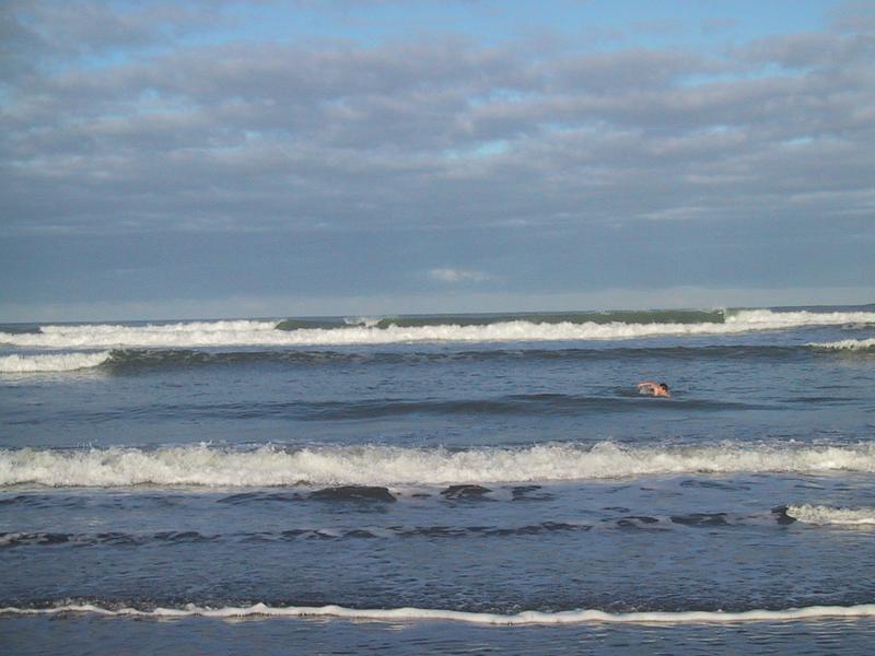 Lars · Tasman Sea